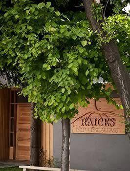 Raices Bed&Breakfast Coyhaique Exterior foto
