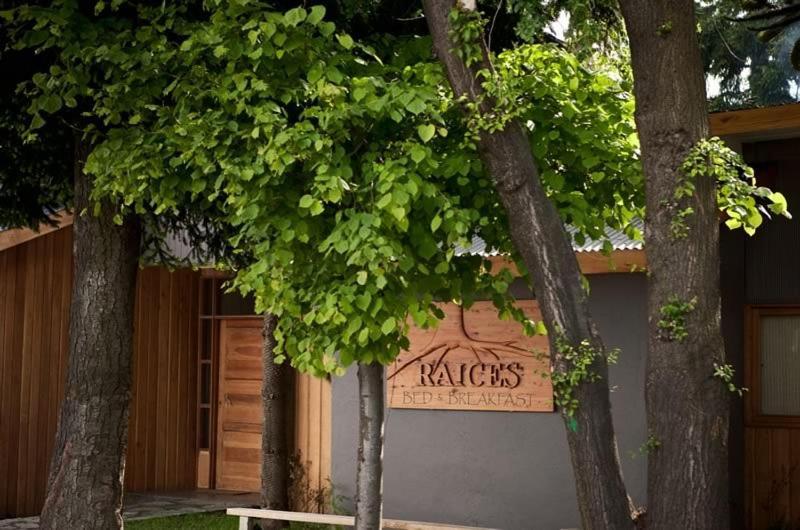 Raices Bed&Breakfast Coyhaique Exterior foto